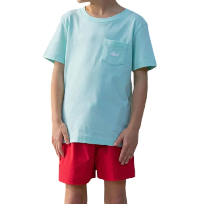 Snapper Pocket Tee In Mint