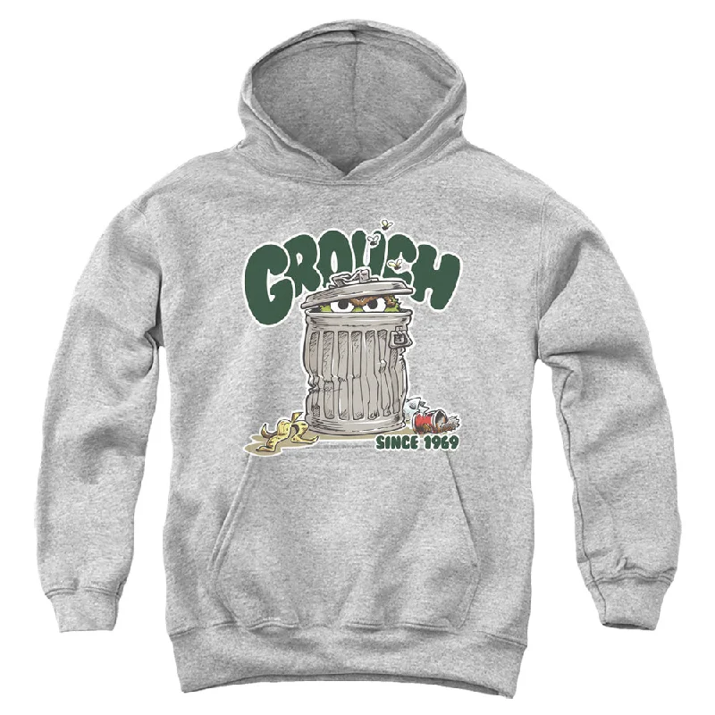 Sesame Street Kids Hoodie Grouch Since 1969 Heather Hoody