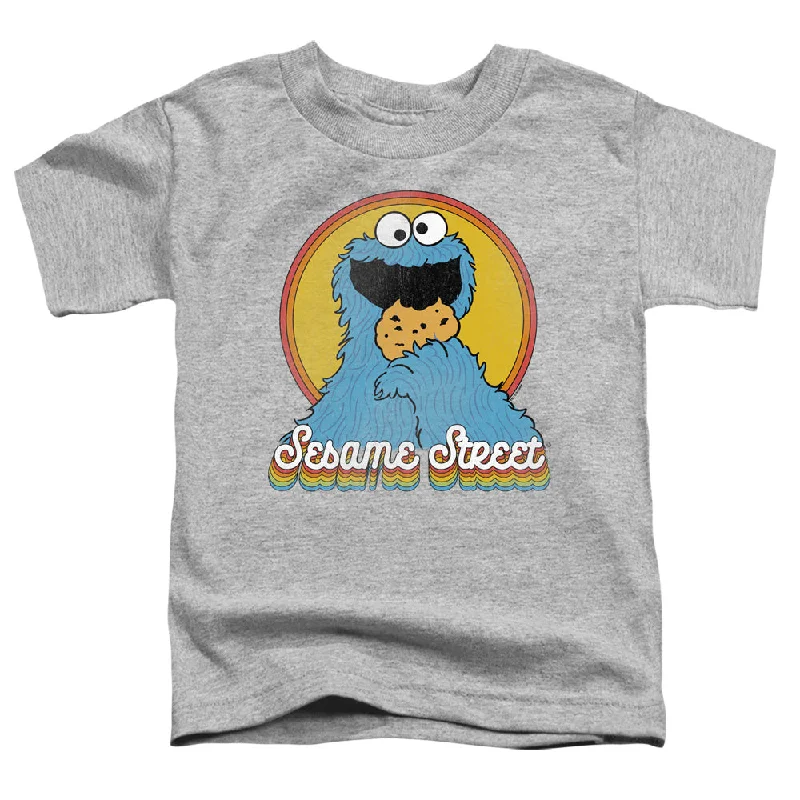 Sesame Street Toddler T-Shirt Cookie Monster Rainbow Heather Tee